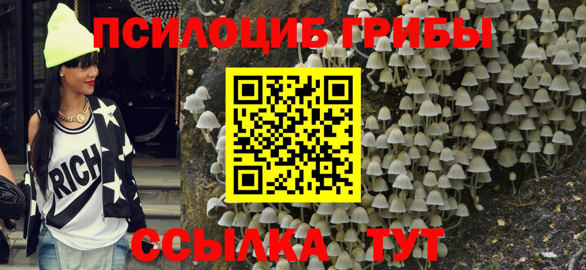 Псилоцибиновые грибы GOLDEN TEACHER  Вход с VPN  Гусиноозёрск 
