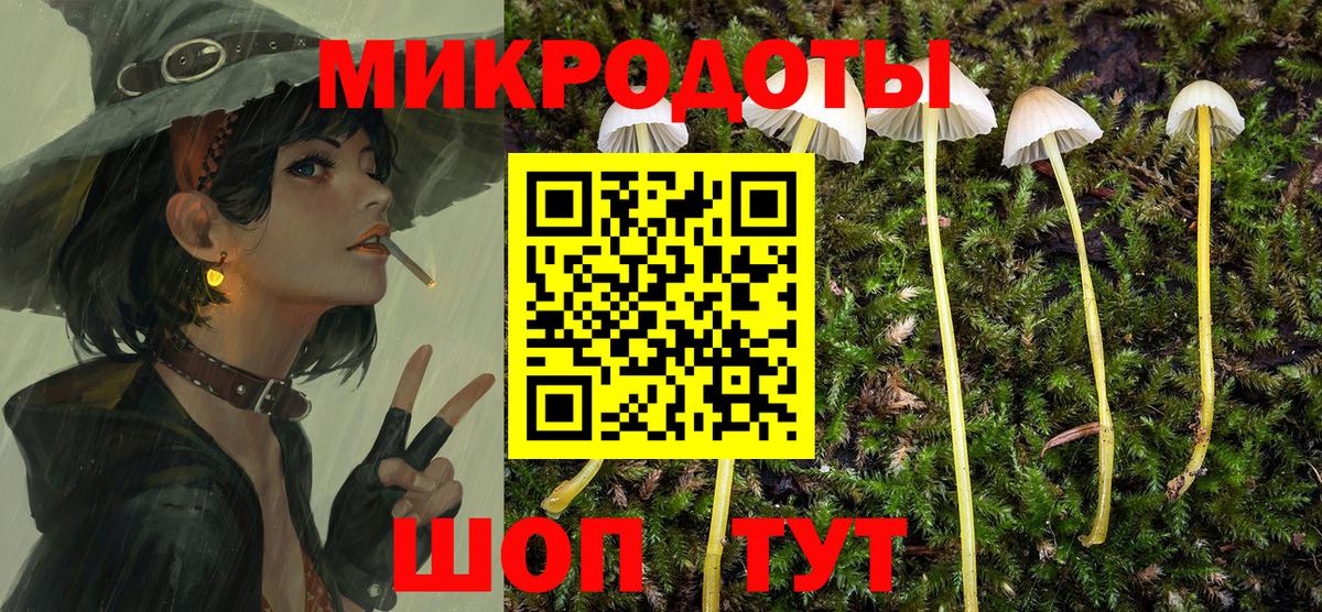 Псилоцибиновые грибы MAGIC MUSHROOMS Гусиноозёрск